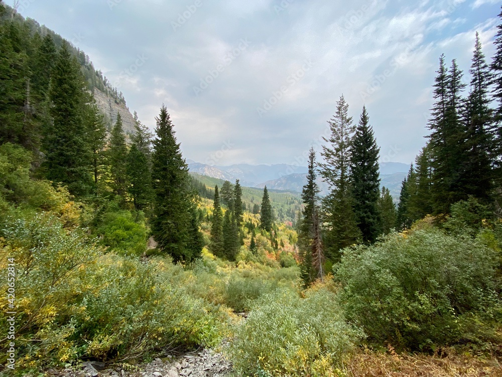 autumn in the mountains autumn in the mountains