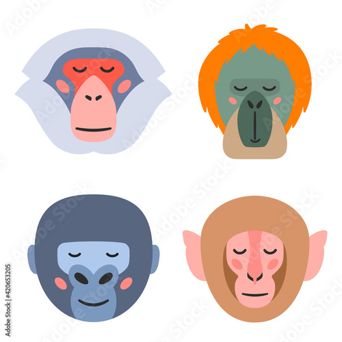 Vector illustration of muzzles of various monkeys photo