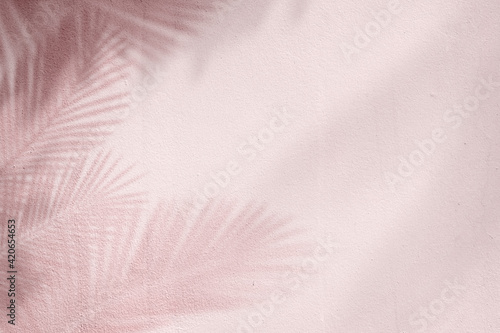Fototapeta Naklejka Na Ścianę i Meble -  Pink background with palm tree