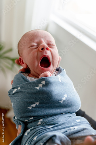 Swaddled newborn yawning widely