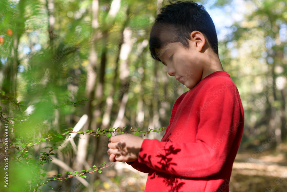 Child looking at plant Child looking at plant