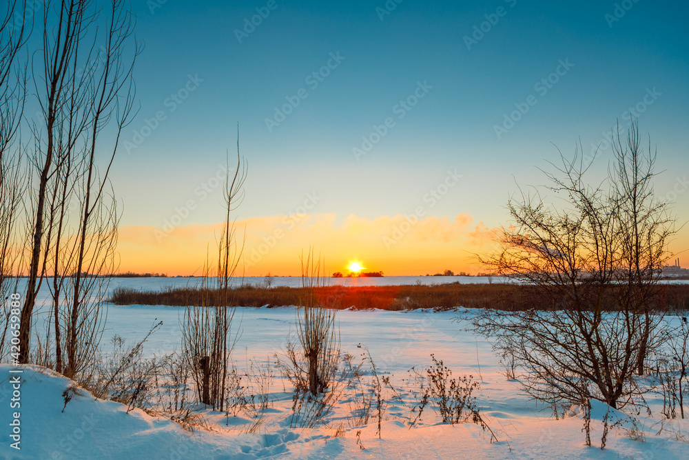 Snow field in winter sunny day Snow field in winter sunny day