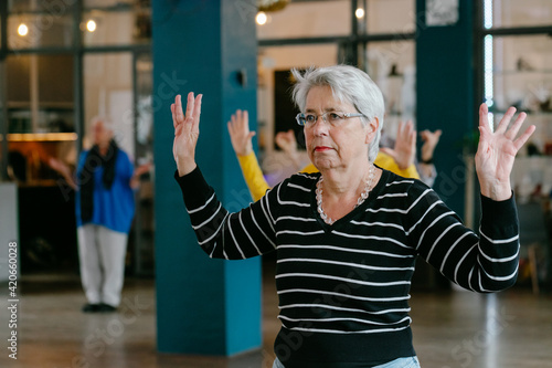 Senior Citizens Doing Mobilizing Exercise photo