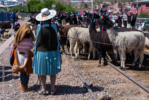 Bolivian farmers with their llamas on the street