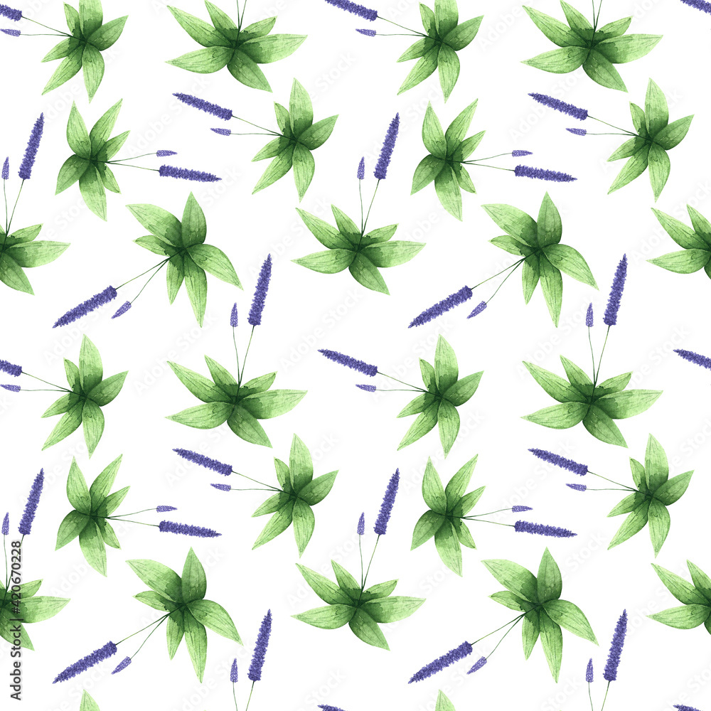 Watercolor hand drawn lupine flower pattern on white background. Botanical seamless print. Purple, Violet botanical design for fabric, textile, wallpaper, wrapping paper and decoration. Watercolor hand drawn lupine flower pattern on white background. Botanical seamless print. Purple, Violet botanical design for fabric, textile, wallpaper, wrapping paper and decoration.
