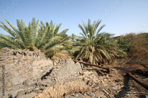 Khaybar to the north of Medina in the Hejaz. Before the advent of Islam in the 7th century CE, indigenous Arabs, as well as Jews, once made up the population of Khaybar. 