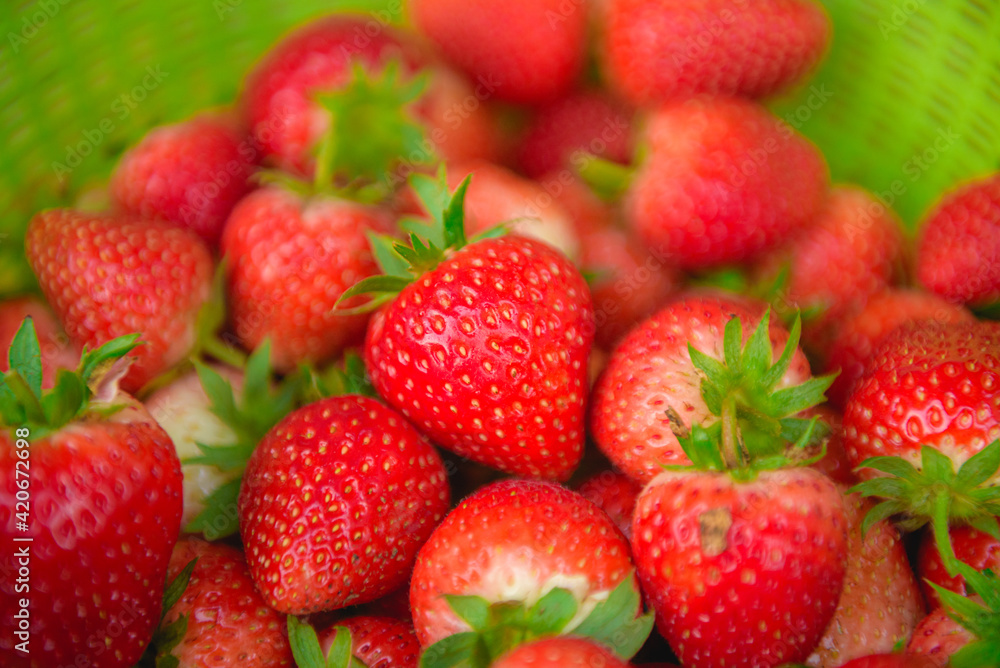 The strawberries red fruit organics brilliant, sweet, sour, and delicious. It can grow into a closed or outdoor farm beautiful garden. The strawberries red fruit organics brilliant, sweet, sour, and delicious. It can grow into a closed or outdoor farm beautiful garden.
