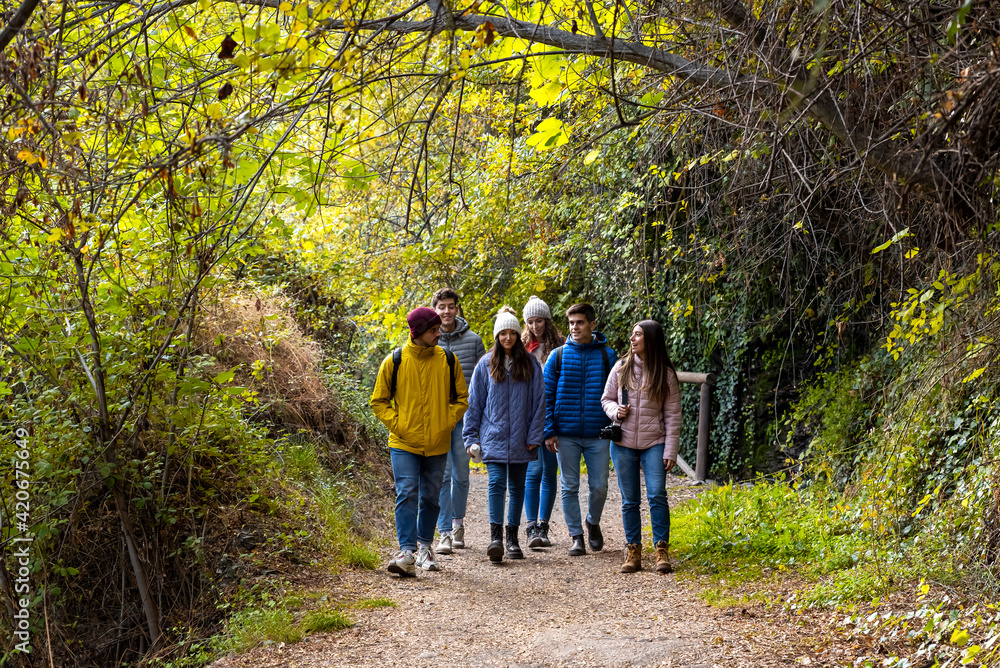 Group of friends Walking On Path In the Woods Group of friends Walking On Path In the Woods