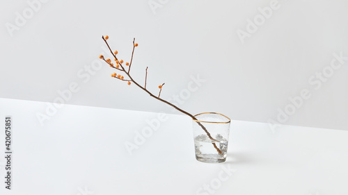 Glass vases with twig of seabuckthorn berries. photo