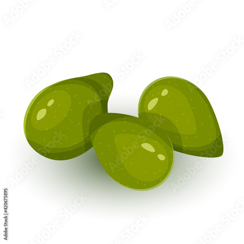 Terminalia ferdinandiana plum cockatoo. Food illustration, Kakadu plum fruit exotica Australia isolated on a white background. Vector illustration . Vector illustration