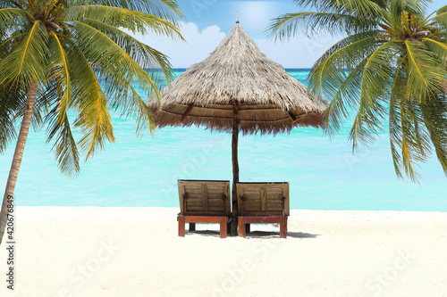 beach summer and beach chair