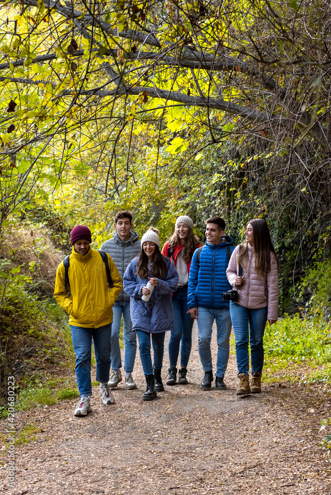 Group of friends Walking On Path In the Woods Group of friends Walking On Path In the Woods