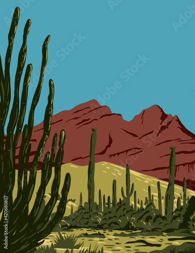 WPA poster art of the Organ Pipe Cactus National Monument and biosphere reserve located in Arizona that shares border with the Mexican state of Sonora done in works project administration style style.