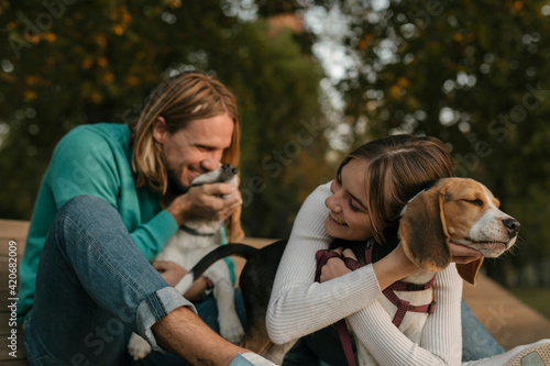 Young couple with their beagle dogs photo
