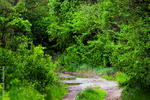 Rural dirt road in village area