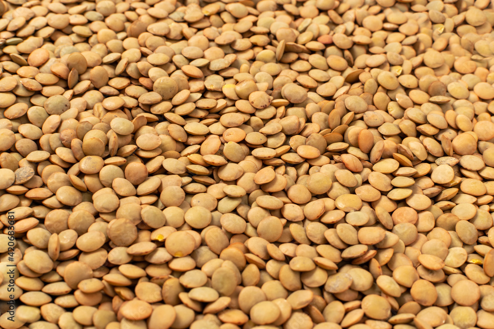 Raw Dry Lentils, Lentil Grains, Dal, Daal, Dhal, Masoor Raw Dry Lentils, Lentil Grains, Dal, Daal, Dhal, Masoor