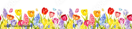 Watercolor seamless border with spring flowers: tulips, hyacinths, mimosa, crocuses, muscari, greenery, butterflies. Vintage flowers. Botanical hand drawn illustration. Garden summer flowers