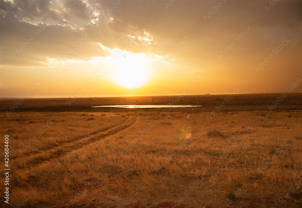 Sunset over the savanah