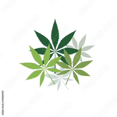 hemp leaf