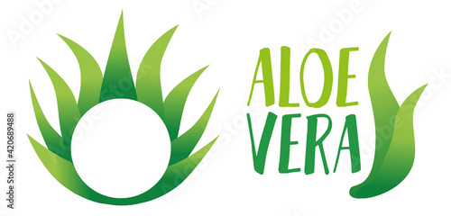 Isolierte Vektografik Illustration einer Aloe Vera Pflanze und Blätter als Icon, Signet, Symbol und Dekoration für Lebensmittel- oder Kosmetikverpackungen, Flyer oder Logo