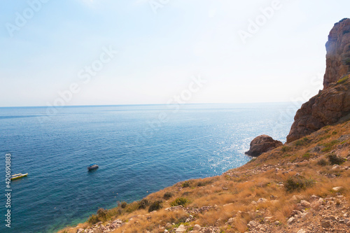 Beautiful sea landscape with mountains and coniferous trees © guardalex