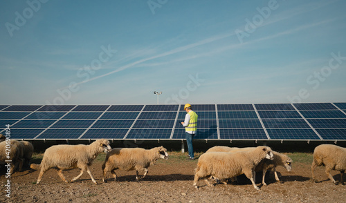 An animal farm with Solar Panels
