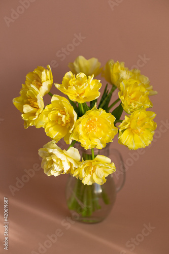 Yellow tulips in glass vase on beige background. photo