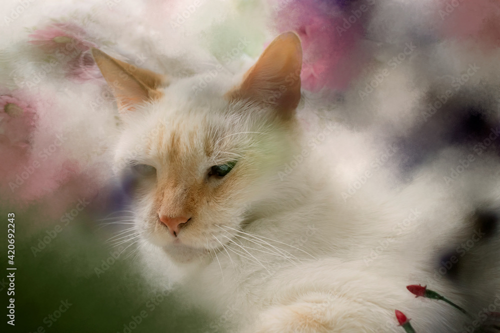 White cat between flowers White cat between flowers