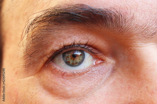 Close-up of a man's green eye