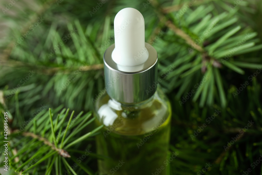 Bottle of pine oil and pine twigs, close up Bottle of pine oil and pine twigs, close up