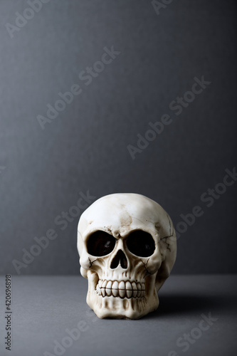 Skull on paper background. Copy space. 