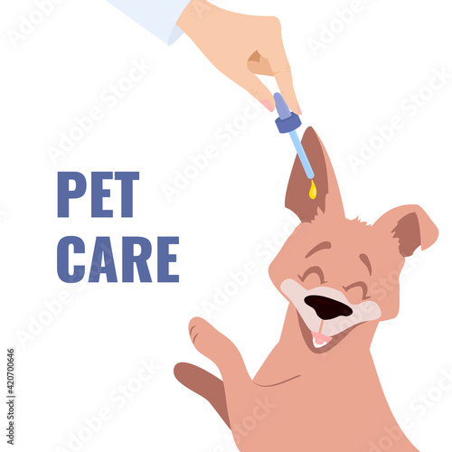 Vet putting in the drops to the dog ear. Otitis disease treatment. Remedy for pet earache and hearing problems. Medical vector illustration for veterinary clinic.