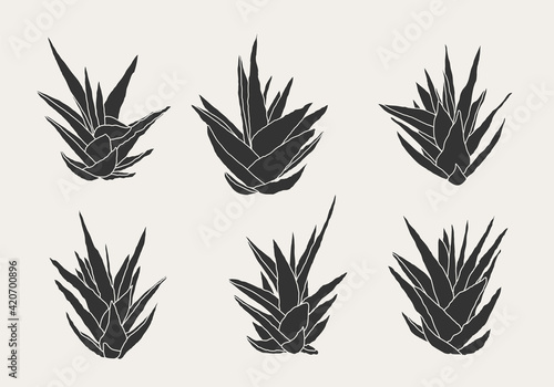Minimalist botanical branch with leaves elements for abstract collage