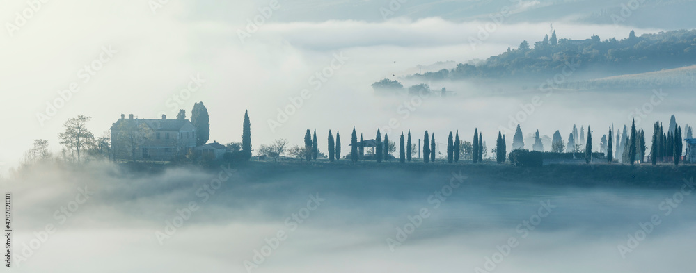 Foggy morning landscape - trees and hills in fog