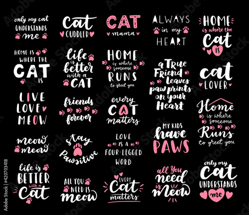 Cat phrase black and white poster. Inspirational quotes about cat, and domestical pets. Hand written phrases for poster, cat adoption lettering. Adopt a cat.