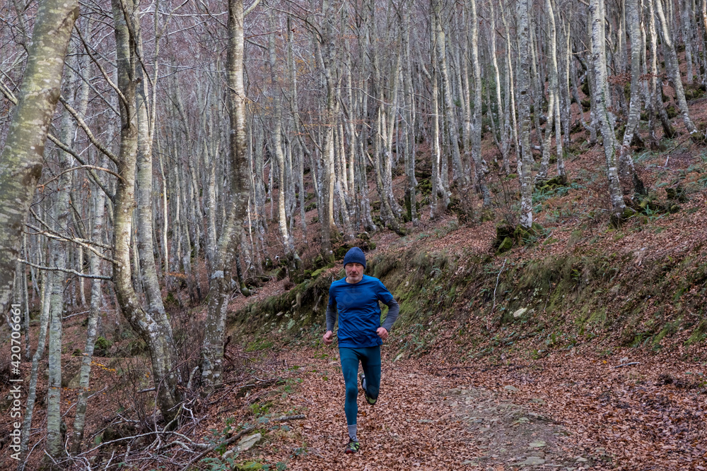 a trail runner in winter a trail runner in winter