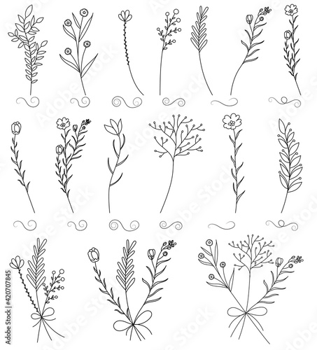  leaves, grass, flowers, hand drawn set of plant
