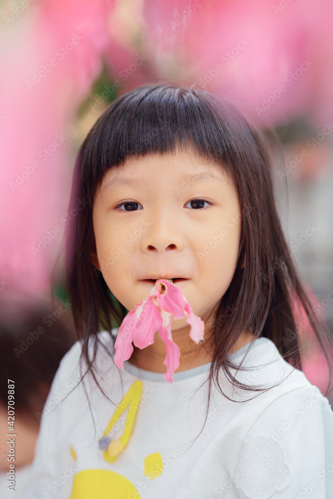 portrait of little girl and beautiful pink kapok flower portrait of little girl and beautiful pink kapok flower