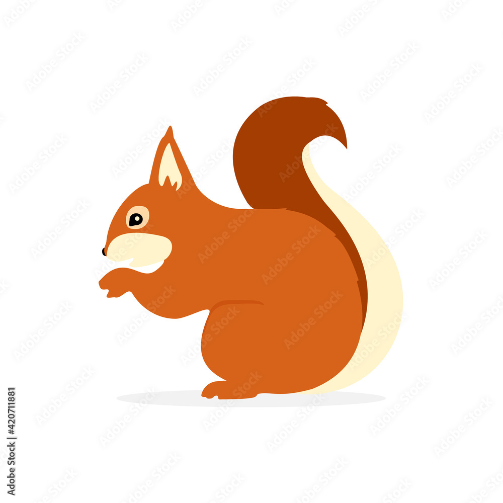 Squirrel character cute Squirrel character cute