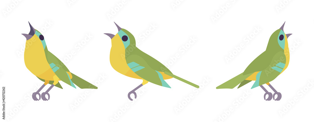 Obraz Zestaw Songbird zielono-żółty, przepięknie śpiewające muzyczne ptaszki. Badania przyrodnicze, ornitologia, obserwacja ptaków. Wektor ilustracja kreskówka płaski na białym tle, różne widoki