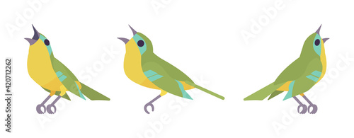 Songbird green and yellow set, beautiful singing little musical birds. Wildlife study, ornithology, birdwatching. Vector flat style cartoon illustration isolated on white background, different views