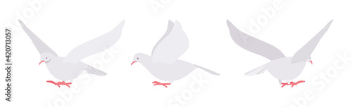 White pigeons, doves set, domestic or street bird in flight. Wildlife study, ornithology and birdwatching concept. Vector flat style cartoon illustration isolated on white background, different views