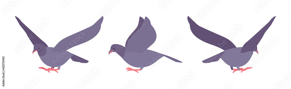 Grey pigeons, doves set, domestic or street bird in flight. Wildlife study, ornithology and birdwatching concept. Vector flat style cartoon illustration isolated on white background, different views Grey pigeons, doves set, domestic or street bird in flight. Wildlife study, ornithology and birdwatching concept. Vector flat style cartoon illustration isolated on white background, different views