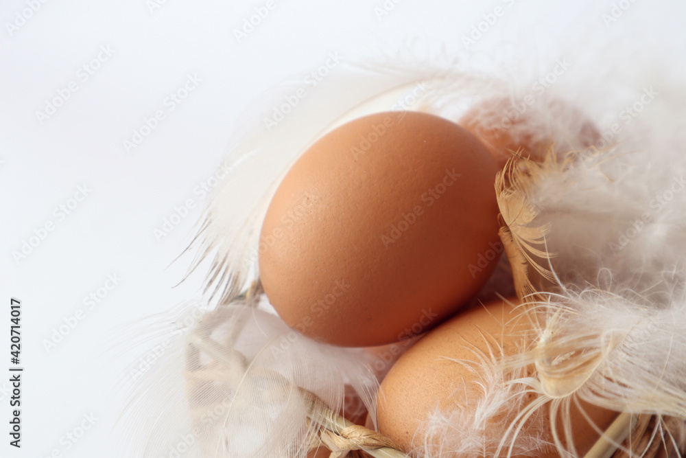 Yellow chicken eggs with light white feathers, close-up, top view, space for text Yellow chicken eggs with light white feathers, close-up, top view, space for text