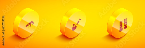 Set Isometric Experimental mouse, Genetically modified apple and Medical rubber gloves icon. Vector