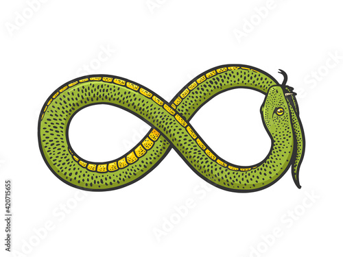 snake in form of infinity sign biting its own tail color sketch engraving vector illustration. T-shirt apparel print design. Scratch board imitation. Black and white hand drawn image.