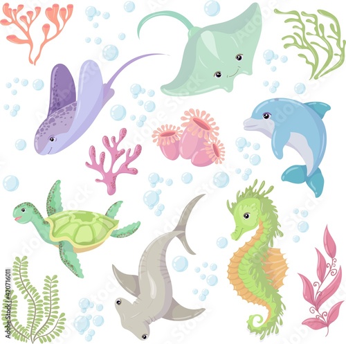 large set of Marine Animals and algae. Electric Ray  Shark and Dolphin. Sea creature. Vector illustration isolated on white background