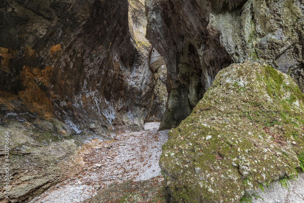 Environment of the gorges carved into the rock. Environment of the gorges carved into the rock.