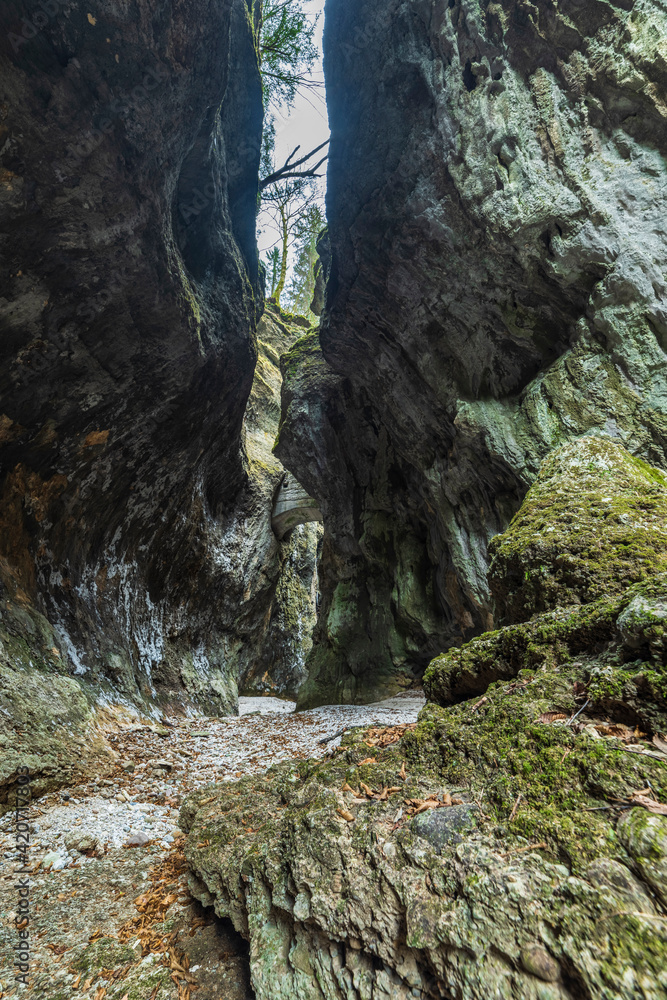 Fototapeta premium Environment of the gorges carved into the rock.