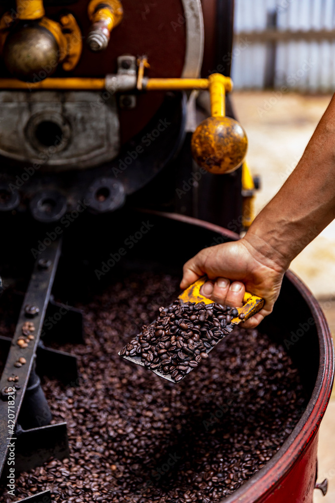 Coffee Roaster at Organic Coffee Farm in Costa Rica Stock Photo Adobe